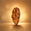 1 (1) 1 Mukhi Rudraksha – Benefits, Mantra, Sun & Lord Shiva