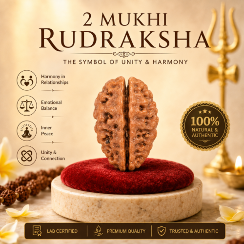 2 Mukhi Rudraksha – Benefits, Mantra, Moon & Ardhanarishvara