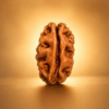 2 (2) 2 Mukhi Rudraksha – Benefits, Mantra, Moon & Ardhanarishvara