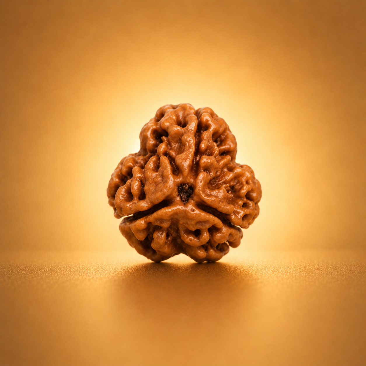 3 Mukhi Rudraksha – Benefits, Mantra, Mars & Agni Dev