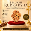 3 Mukhi Rudraksha – Benefits, Mantra, Mars & Agni Dev