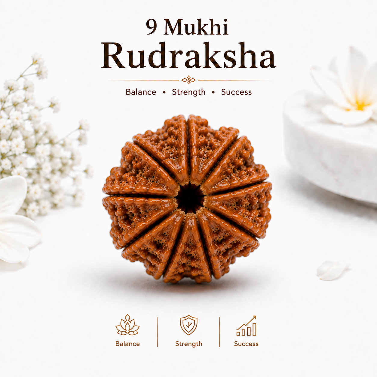 9 Mukhi Rudraksha – Benefits, Mantra, Ketu & Goddess Durga